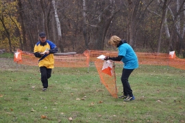 Resize of 32