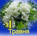 1304581046_1304070868_1272778021_202-1travnia123