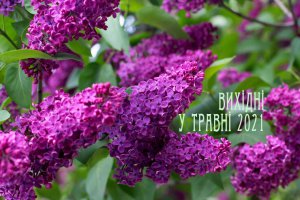 1618568308_traven_