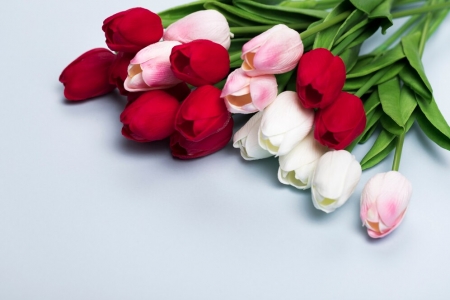 1709828975_close-up-bouquet-tulips_23-2148409564