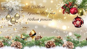 300_d1305060