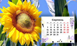 kalendar
